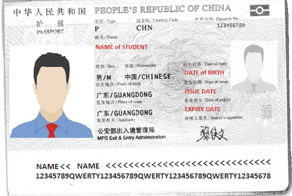 An example of the passport photograph page